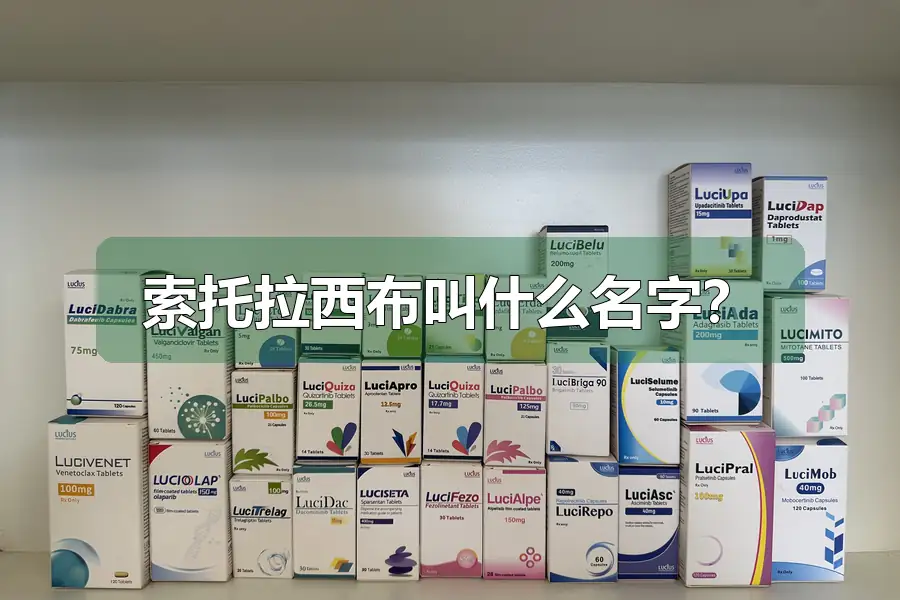 索托拉西布叫什么名字?